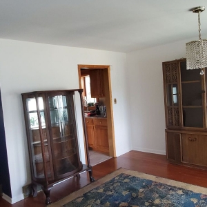 Chicago Lopez Painting & Construction