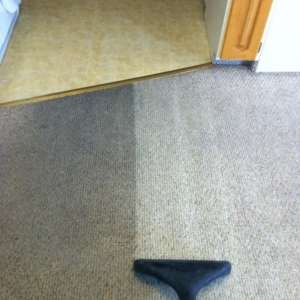 Photo of Clean Green Carpet Cleaning