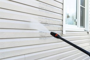 Photo of Grama Total Lawn Care Services