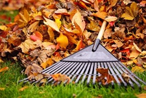 Photo of Grama Total Lawn Care Services