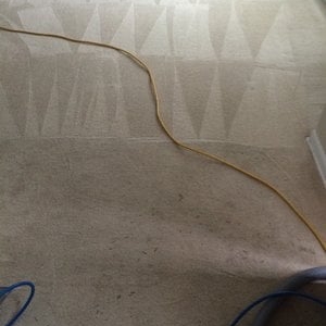 Photo of Greensafe Carpet and Floor Cleaning