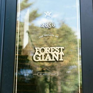 Photo of Forest Giant