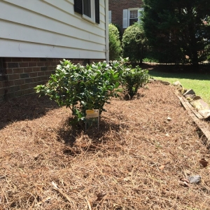 Photo of Reliant Earthworks & Landscaping