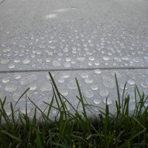 Photo of Sam The Concrete Man - Northeast Atlanta