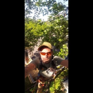 Photo of Price Tree Care