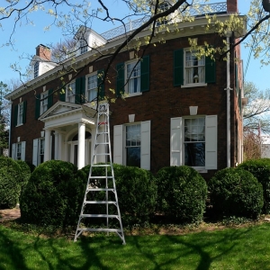 Photo of Price Tree Care