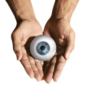 Photo of Visual Lure
