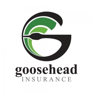Photo of Linh Pham - Goosehead Insurance