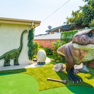 Photo of Synthetic Grass San Bernardino County