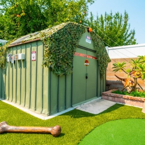 Photo of Synthetic Grass San Bernardino County