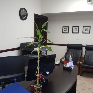Photo of Westside Income Tax & Business Services