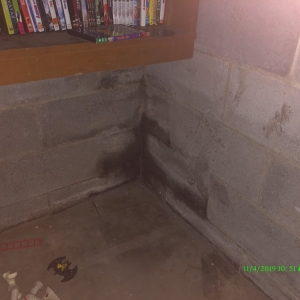 Photo of Dry Ease Mold Removal NYC