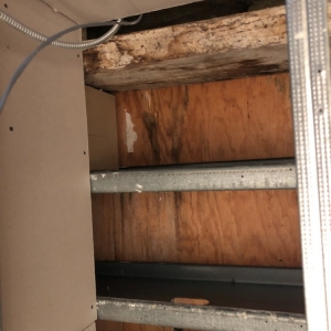Photo of Dry Ease Mold Removal NYC