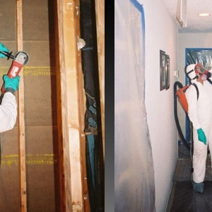 Photo of Dry Ease Mold Removal NYC