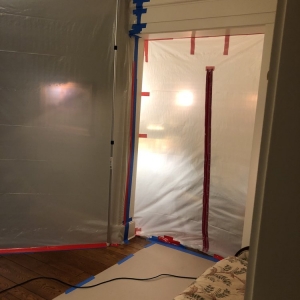 Photo of Dry Ease Mold Removal NYC
