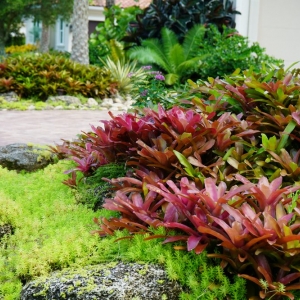 Photo of Serenoa Landscape Design