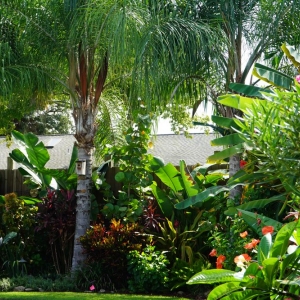 Photo of Serenoa Landscape Design