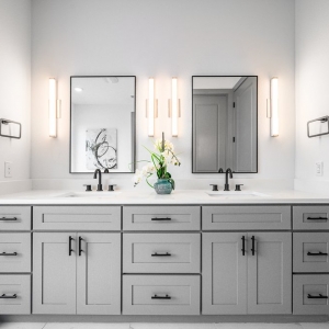 Dallas Brittany Lyons Interiors