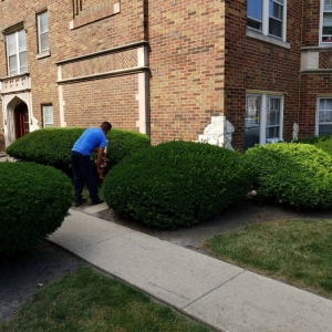 Photo of Solis landscaping designs
