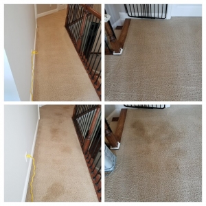 Photo of Hughes Dry Professional Carpet Care