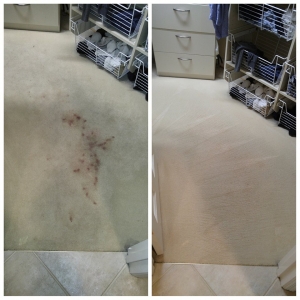 Photo of Hughes Dry Professional Carpet Care