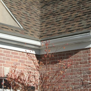 Photo of Carolina Gutter Helmet