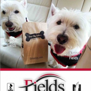 Photo of Fields Insurance