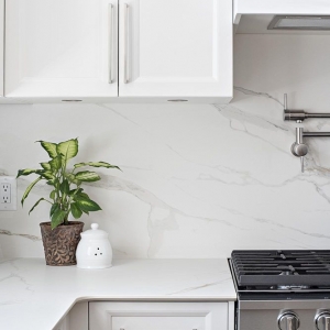Photo of FloForm Countertops | Portland