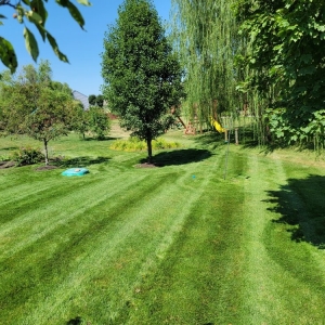 Photo of Grateful Grass Lawn and Landscape Maintenance