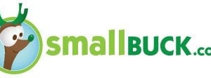 Nashville Small Buck Web Design