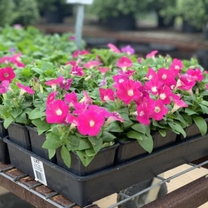 Photo of Meador's Garden Center & Landscaping