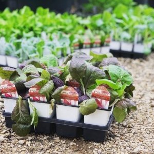 Photo of Meador's Garden Center & Landscaping