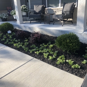 Photo of Reithel Landscaping And Nursery
