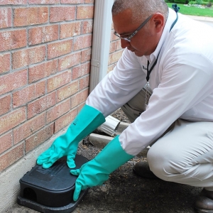Photo of Chem-Free Organic Pest & Lawn Services