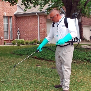 Photo of Chem-Free Organic Pest & Lawn Services