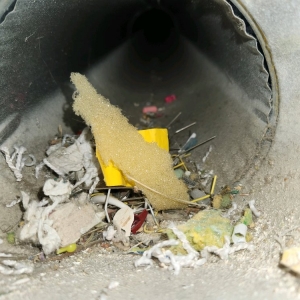 Photo of Lucky Duct