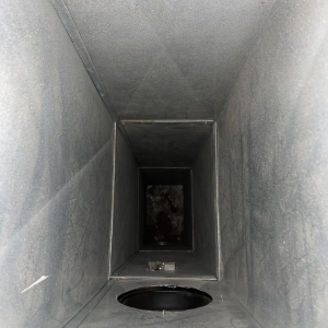 Photo of Lucky Duct