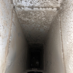 Photo of Lucky Duct