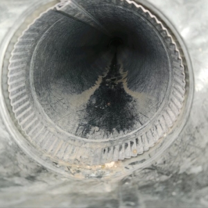 Photo of Lucky Duct