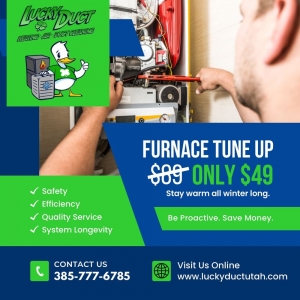 Photo of Lucky Duct