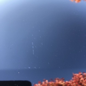 Photo of Moo Moo Express Car Wash - Grove City