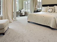 Photo of Steamline Carpet Cleaner