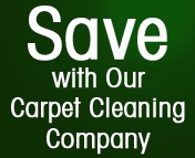 Photo of Steamline Carpet Cleaner