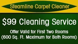 Photo of Steamline Carpet Cleaner
