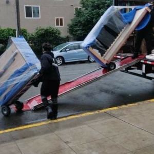 Photo of Eco Movers Moving