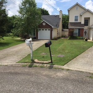 Photo of Ray's Reliable Lawn Services