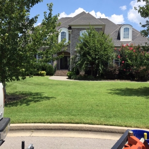 Photo of Ray's Reliable Lawn Services