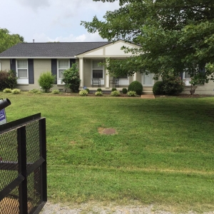 Photo of Ray's Reliable Lawn Services