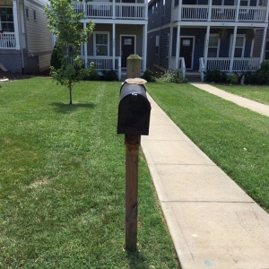 Photo of Ray's Reliable Lawn Services