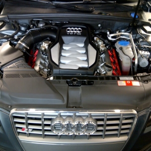 Photo of Maximus Auto Detailing